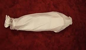 services-01 download-2